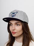 Бейсболка MITCHELL NESS арт. HHSS3272-CHOYYPPPGYHT Charlotte Hornets NBA (светло-серый)